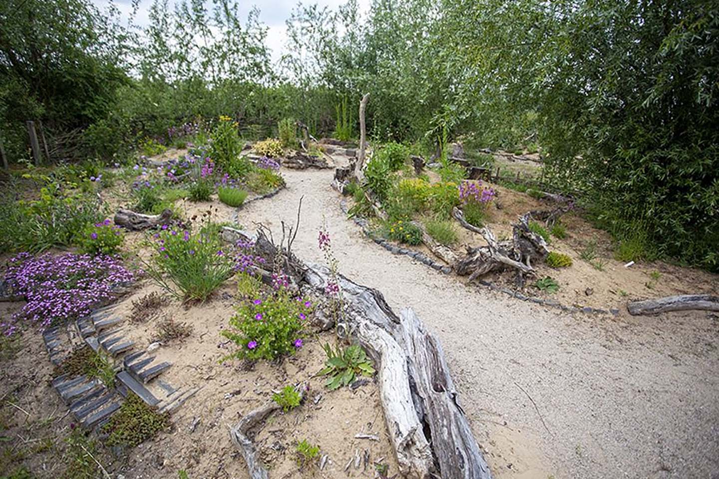 17 | Wassergebundene Wegedecken – Nachhaltige Lösungen für Klimaanpassung und Ökologie 